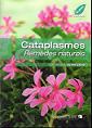 Cataplasmes Remdes naturels