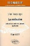 Gnie nergtique - La combustion : Inflammation, combustion, pollution. Applications