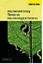Macroevolutionary Theory on Macroecological Patterns
