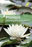 Plantes aquatiques, eau pure