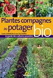 Plantes compagnes au potager bio